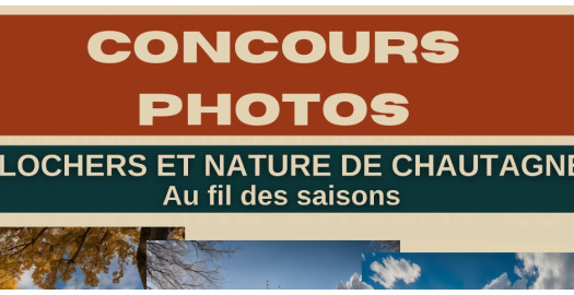 image article