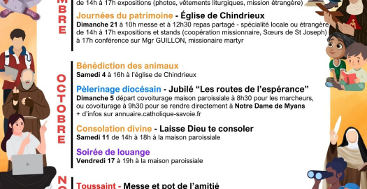 image article